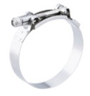 4.75in. T-Bolt Clamp SS