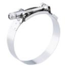 4.75in. T-Bolt Clamp SS